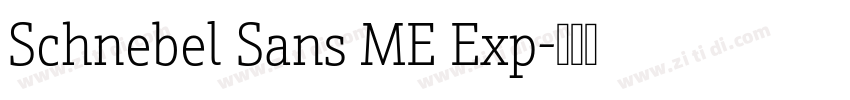 Schnebel Sans ME Exp字体转换